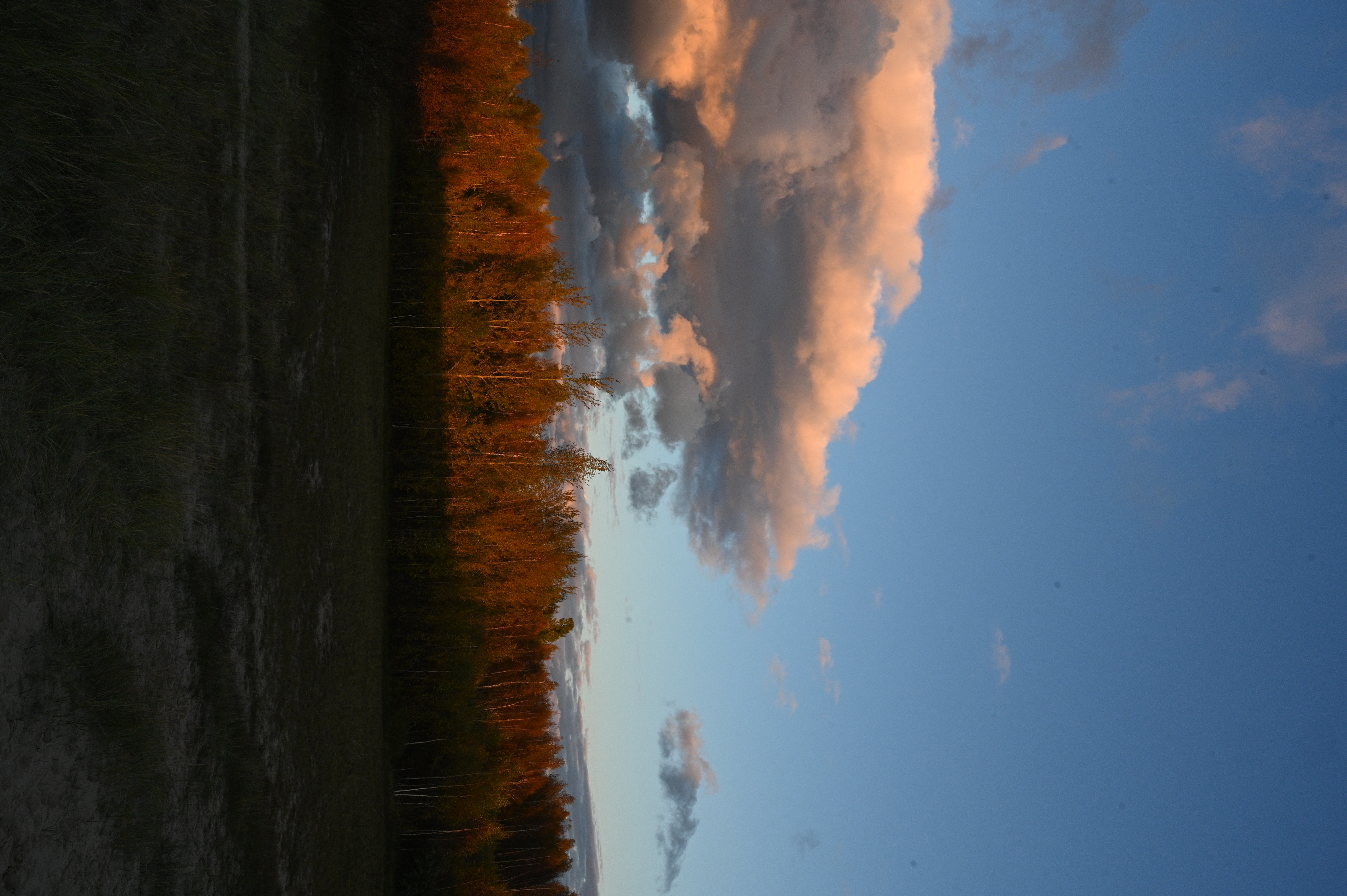 2025/10/18 - walk/DSC_0405.JPG